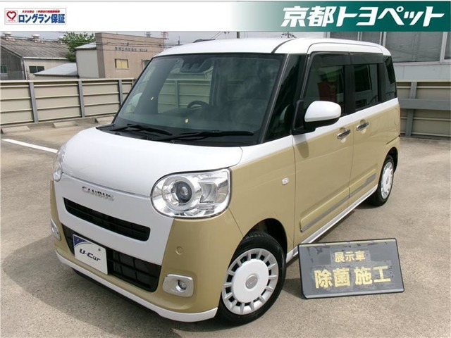 ムーヴキャンバス  ストライプス G