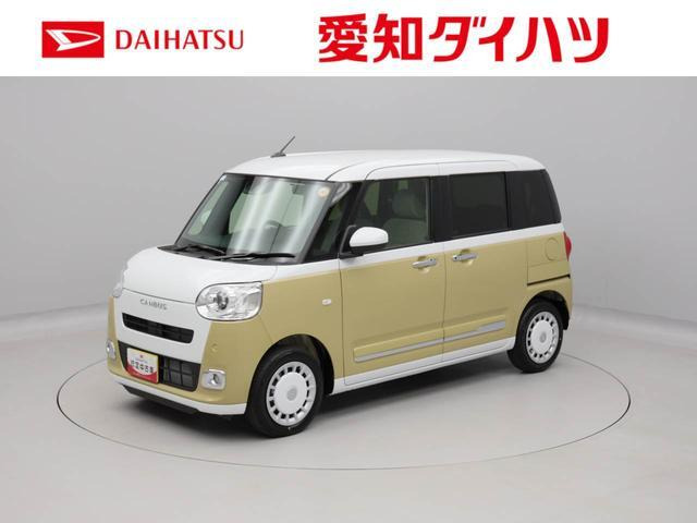 ムーヴキャンバス  ストライプス G