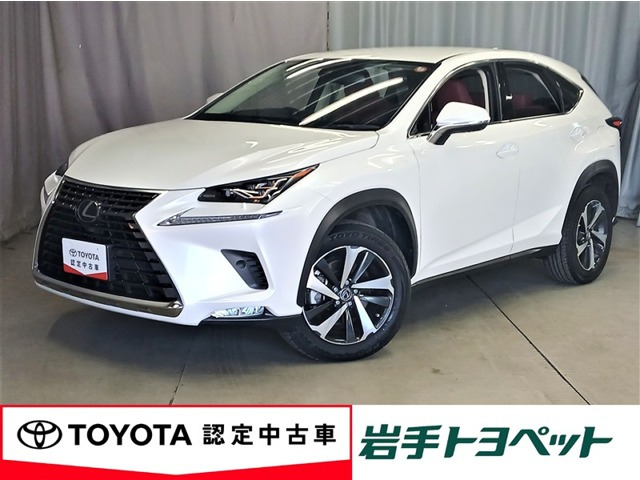 NX300 4WD