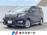 4WD 両側電動ドア バックカメラ 寒冷地仕様 衝突被害軽減システム ス