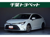 【メイン】 千葉・茨城・埼玉・東京・神奈川での登録、及びご来店いただける方への販売に限らせていただきます。