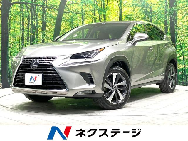 NX300h Iパッケージ