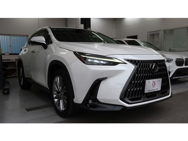 NX 250 バージョンL NX 250 バージョンL