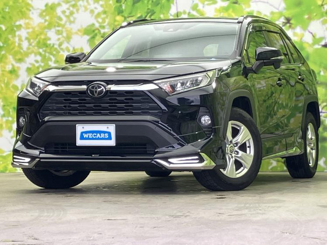 RAV42.0 X