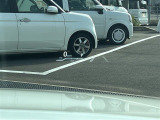 ◆【お問い合わせください】写真の内容に関してやおクルマ購入までの流れなどご不明点、ご質問等がございましたらお気軽にガリバー店舗までお問い合わせください。
