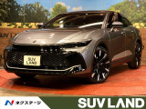 純正12.3型ナビ 全周囲カメラ 100V電源 衝突被害軽減システム