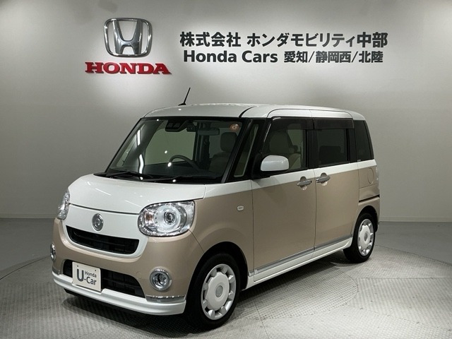 ムーヴキャンバス G メイクアップ SAIII 
