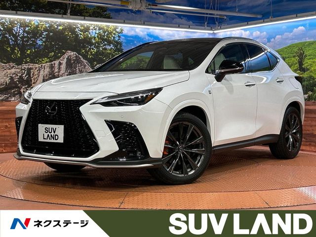 NX 350h Fスポーツ 