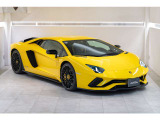 Giallo Spica / Style package / Exterior details in visible carbon fiber / Carbon fiber engine Bonnnet / Interior carbon fiber package  / Visibility and light package
