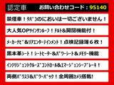 エルグランド  250ライダー Bライン 黒本革 サンルーフ 禁煙