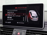Q5 2.0 TFSI クワトロ スポーツ Sラインパッケージ 4WD 