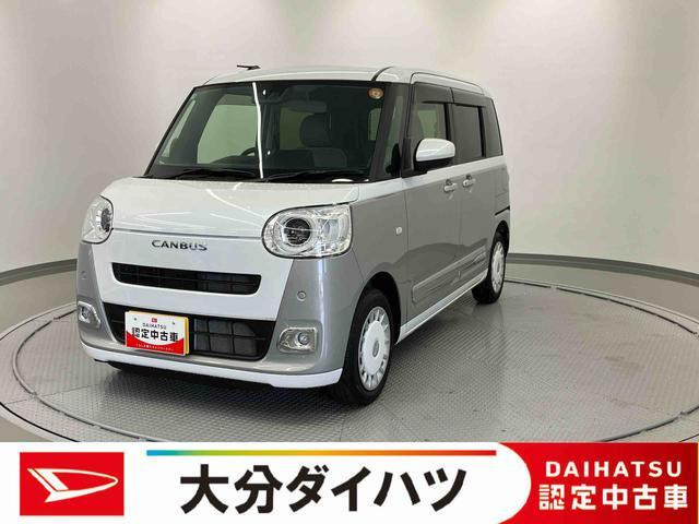 ムーヴキャンバス  ストライプス G