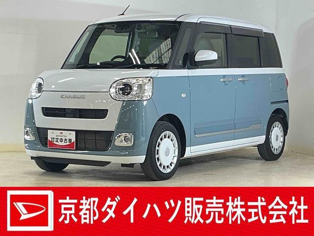 ムーヴキャンバス  ストライプス G