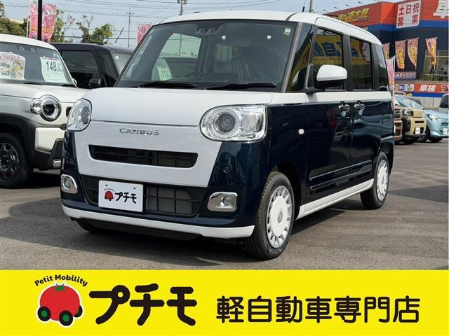 ムーヴキャンバス  ストライプス G