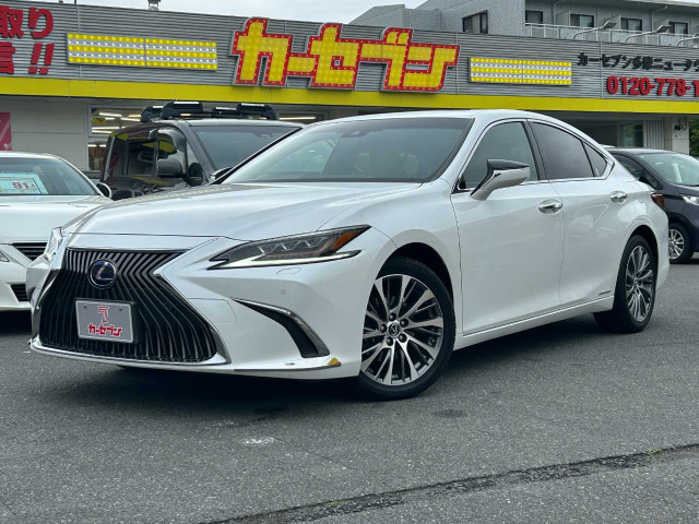 ES 300h 