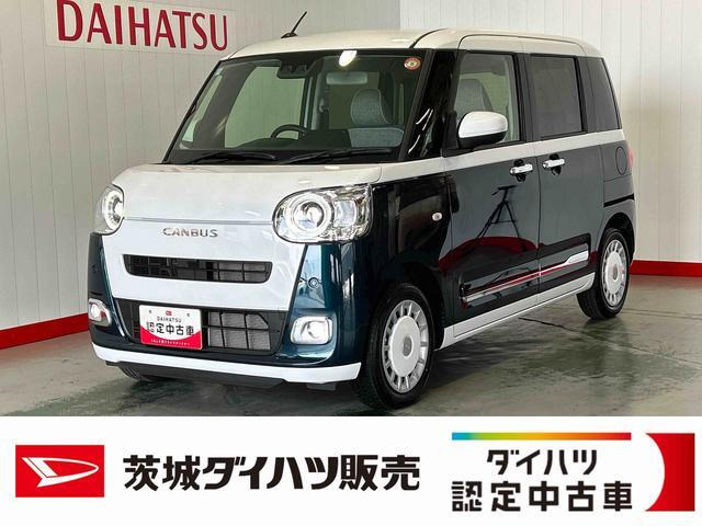 ムーヴキャンバス  ストライプス G