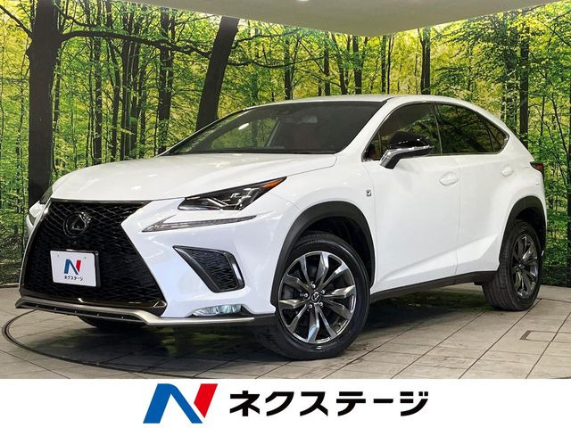 NX 300 Fスポーツ 