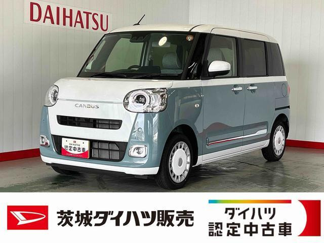 ムーヴキャンバス  ストライプス G