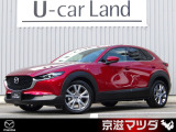 【マツダデザイン】 クルマを単なる移動手段だけでは終わらせない。それ自体に魂が宿った様な、躍動感溢れるボディ造形を目指しました。