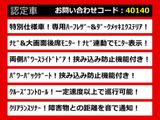 ヴェルファイア 2.4 Z ゴールデンアイズII リアモニ 両自 パワーバック