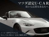MX-30ロータリーEV ナチュラル モノトーン 