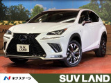 純正10.3型ナビ 全周囲カメラ 電動リアゲート 衝突被害軽減システム