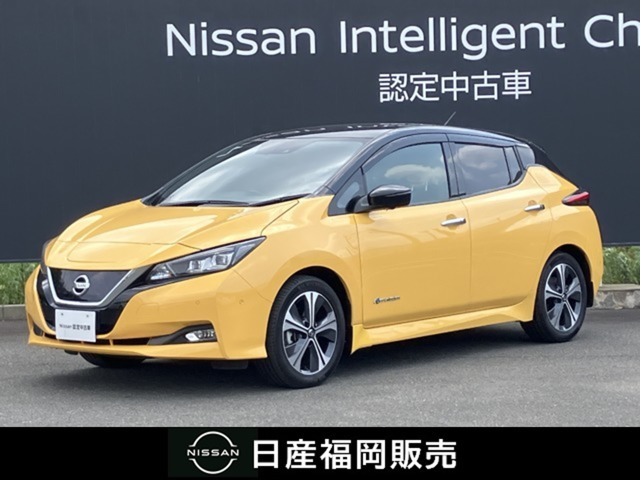 リーフ G 