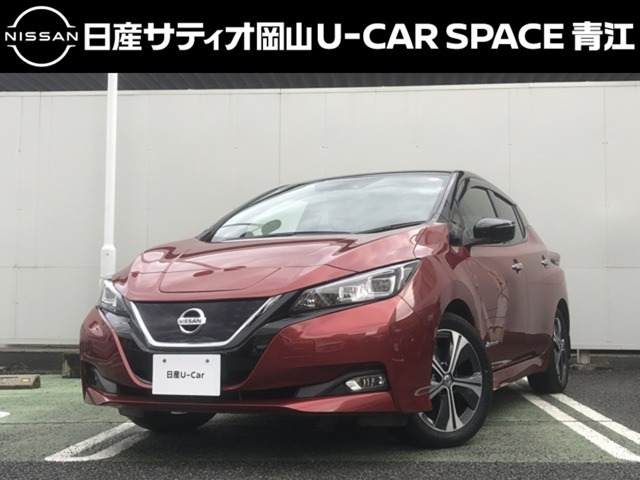 リーフ G 