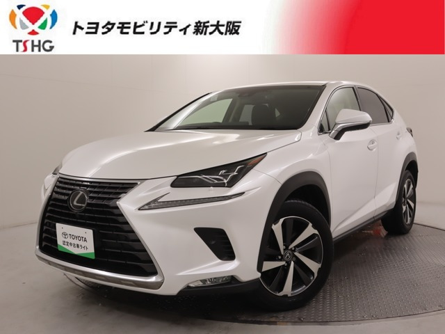 NX 300 Iパッケージ 