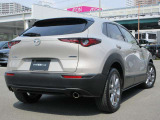 CX-30のエクステリアデザインは、小さなさざ波が周囲と連動しながら大きなうねりとなって拡散していく様子は、さながら光のアートです。