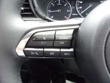 オーディオの音量やチャンネル操作ができるスイッチが、ハンドルに付いています。運転中でも、操作が行えて非常に安全・便利です!