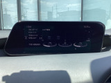 i-DM(インテリジェント・ドライブ・マスター)は運転操作の無駄を抑えたスムーズな運転をサポートし、快適なドライブや燃料消費を抑える事にも役立つアイテムです。
