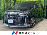 モデリスタエアロ 純正9型ナビ バックカメラ トヨタセーフィテセンス