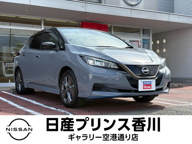 リーフ  e+ アーバンクロム