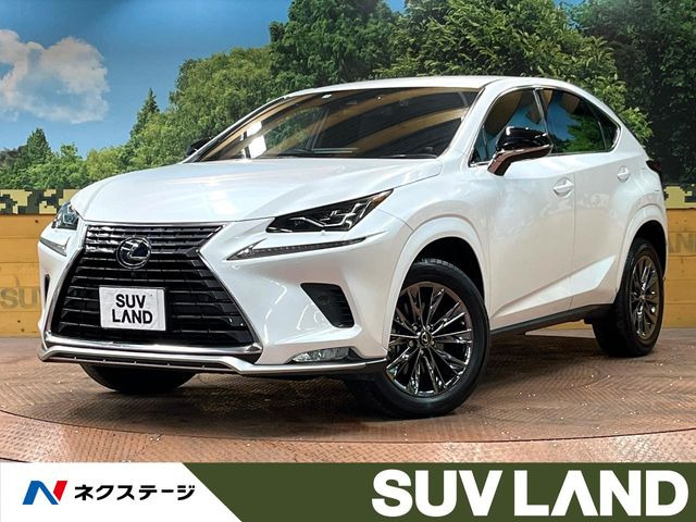 NX300h スパイス&シック