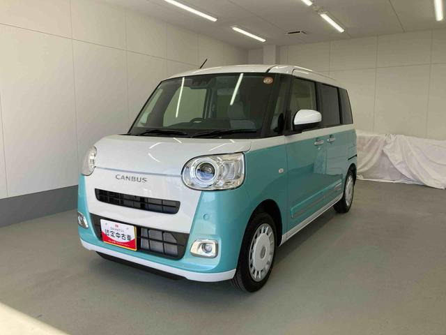 ムーヴキャンバス  ストライプス G