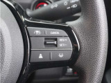 【アダプティブクルーズコントロール】ステアリングのスイッチを操作するとミリ波レーダーで先行車との距離を測定。設定を適切に保ちながら加速・減速、さらに停止まで自動に追従します。