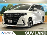 ガラスルーフ モデリスタフルエアロ フリップダウンモニター ETC