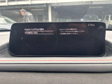 カープレイにも対応!