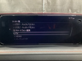 メーカーオプションTVチューナー付!