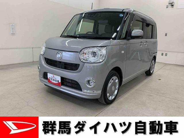ムーヴキャンバス G メイクアップ リミテッド SAIII 