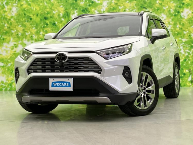RAV4 2.0 G Zパッケージ 4WD 