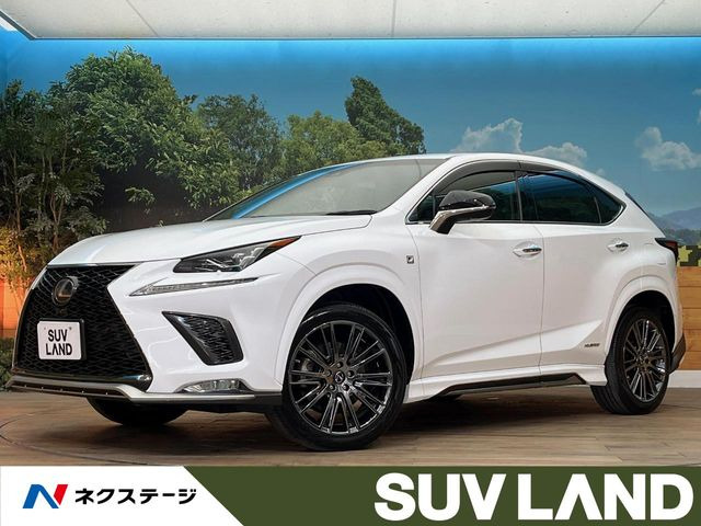 NX 300h Fスポーツ 