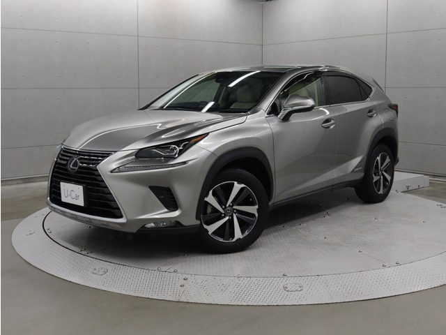 NX 300h Iパッケージ 