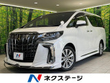 モデリスタ 12型後席モニター 両側電動ドア 電動リアゲート 純正ナビ