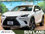 純正10型ナビ ブラインドスポットモニター 3眼LEDヘッド