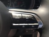 前車追従機能付きクルーズコントロール塔載