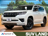 禁煙車 7人乗り アルパインエアロ サンルーフ BIG-X9型ナビ