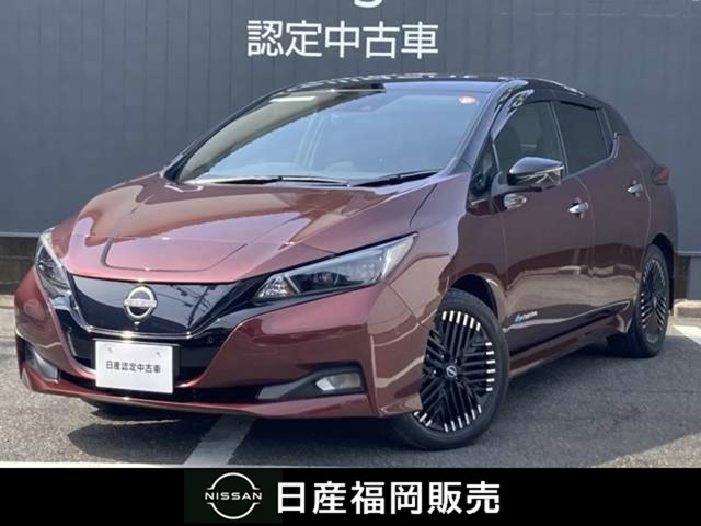 リーフ G 