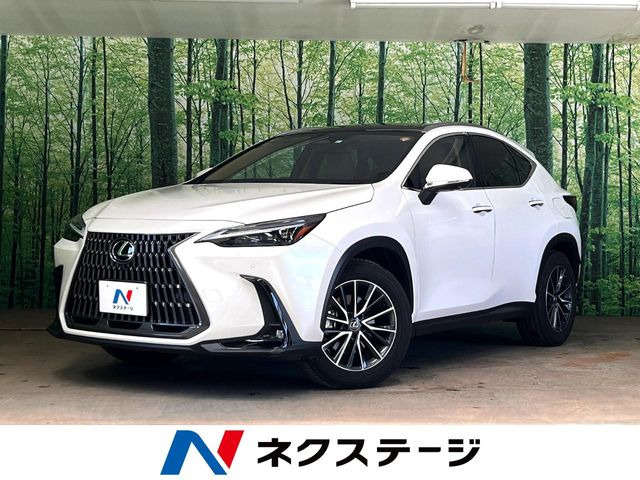 NX350h バージョンL
